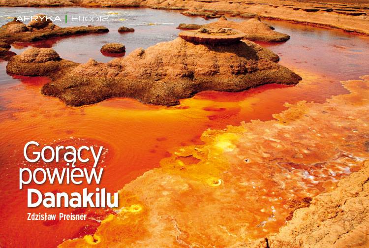 Losowy darmowy artykuł